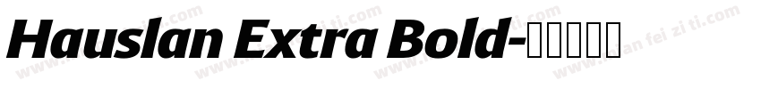 Hauslan Extra Bold字体转换